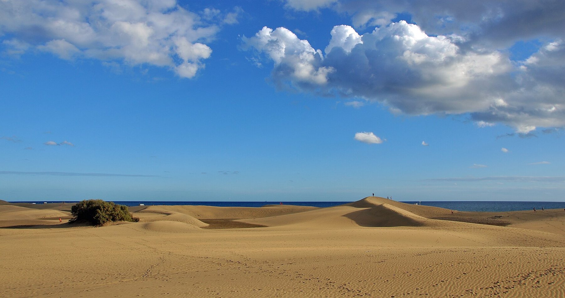 Sanddynene i Maspalomas med havet i bakgrunnen